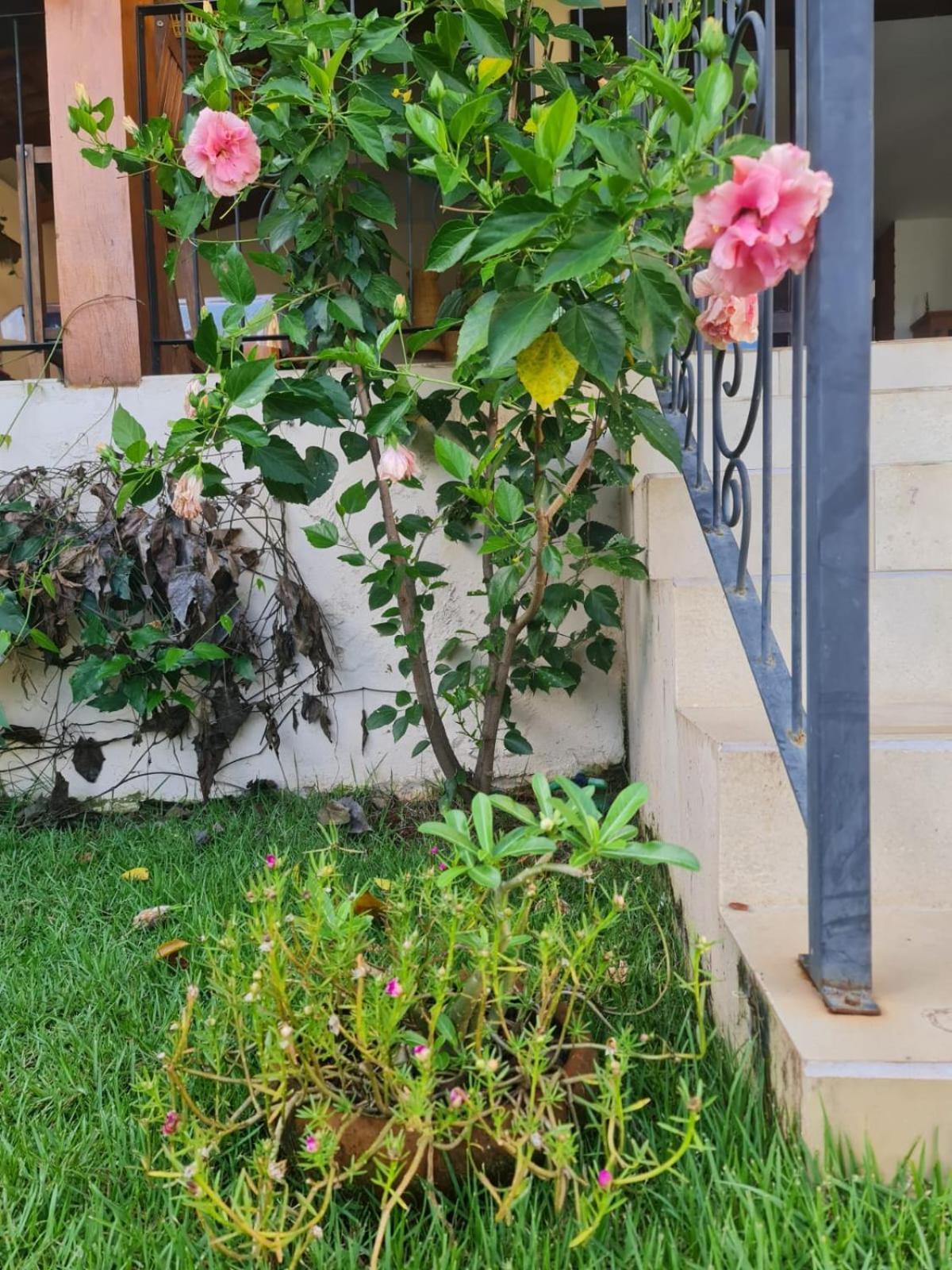 Casa Bonita - Aconchegante para se divertir e descansar Pirenopolis Bagian luar foto